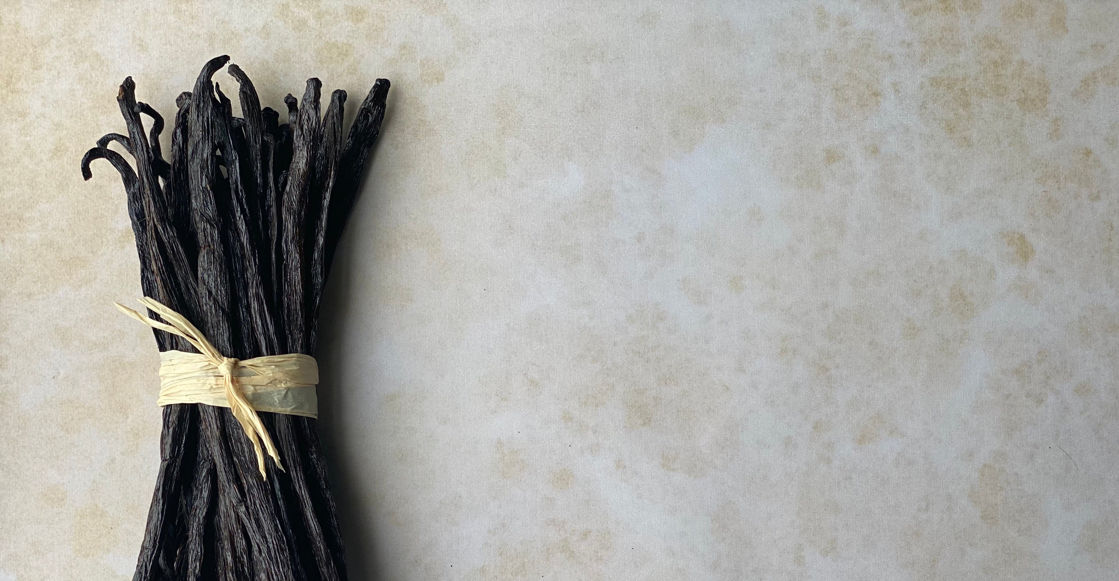 Luna Vanilla Beans | Buy Vanilla Australia | Gourmet Bourbon Vanilla Beans | Buy Comoros Vanilla Beans | Vanilla Extract