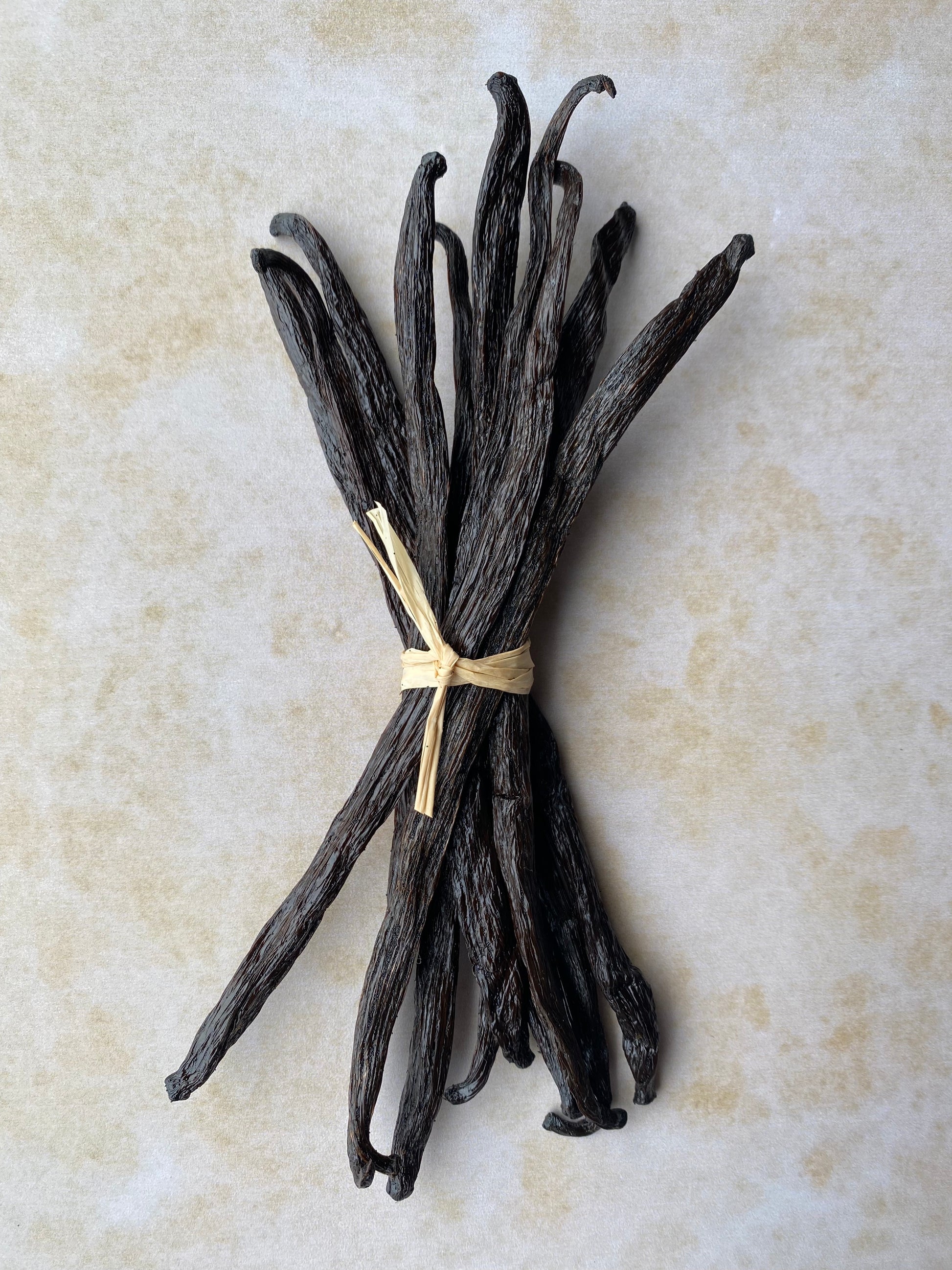10 x Luna Vanilla Beans | Luna Vanilla Beans | Buy Vanilla Australia | Gourmet Bourbon Vanilla Beans | Buy Comoros Vanilla Beans | Vanilla Extract 
