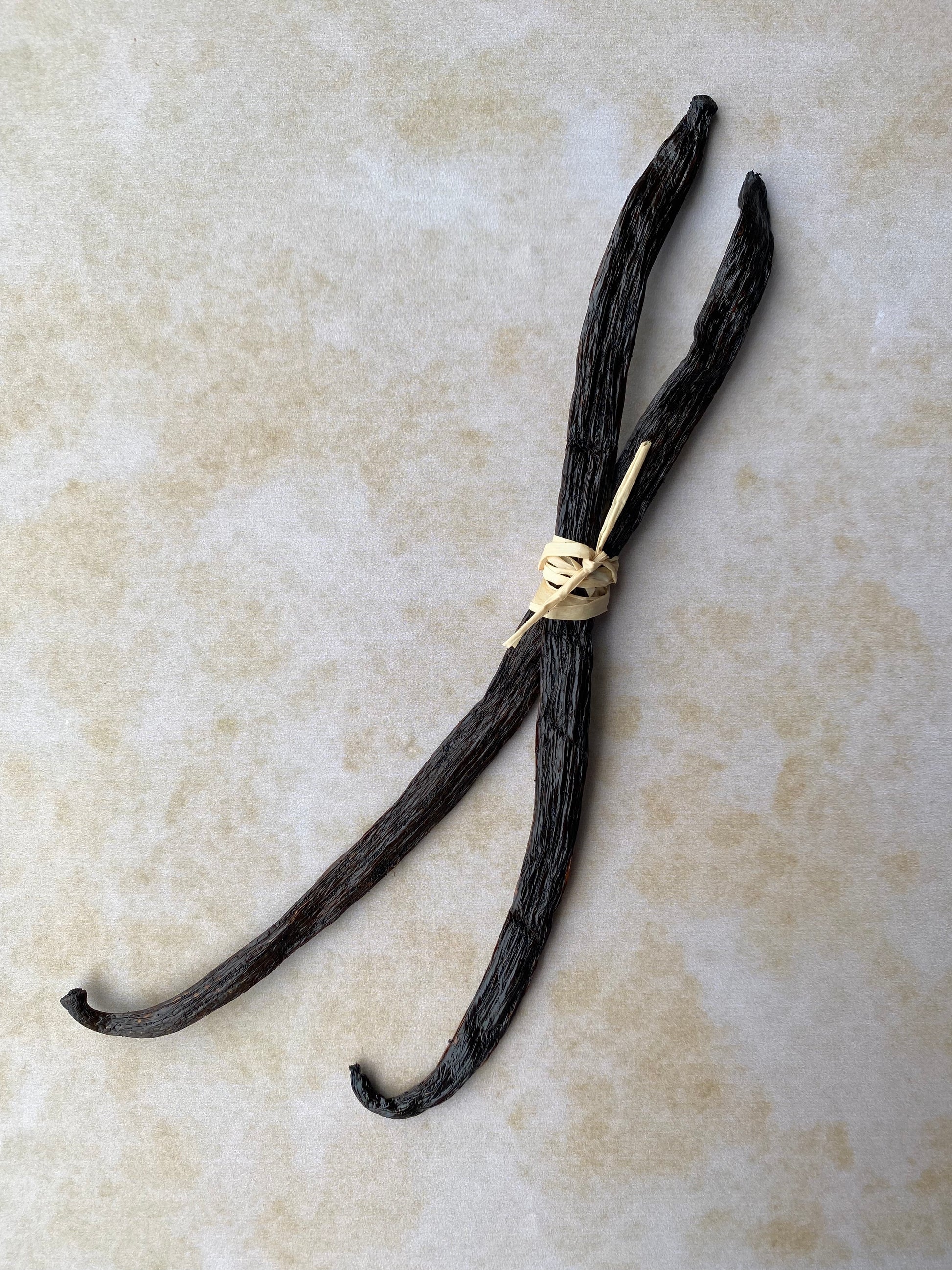 Buy 2 x Luna Vanilla Beans | Luna Vanilla Beans | Buy Vanilla Australia | Gourmet Bourbon Vanilla Beans | Buy Comoros Vanilla Beans | Vanilla Extract 