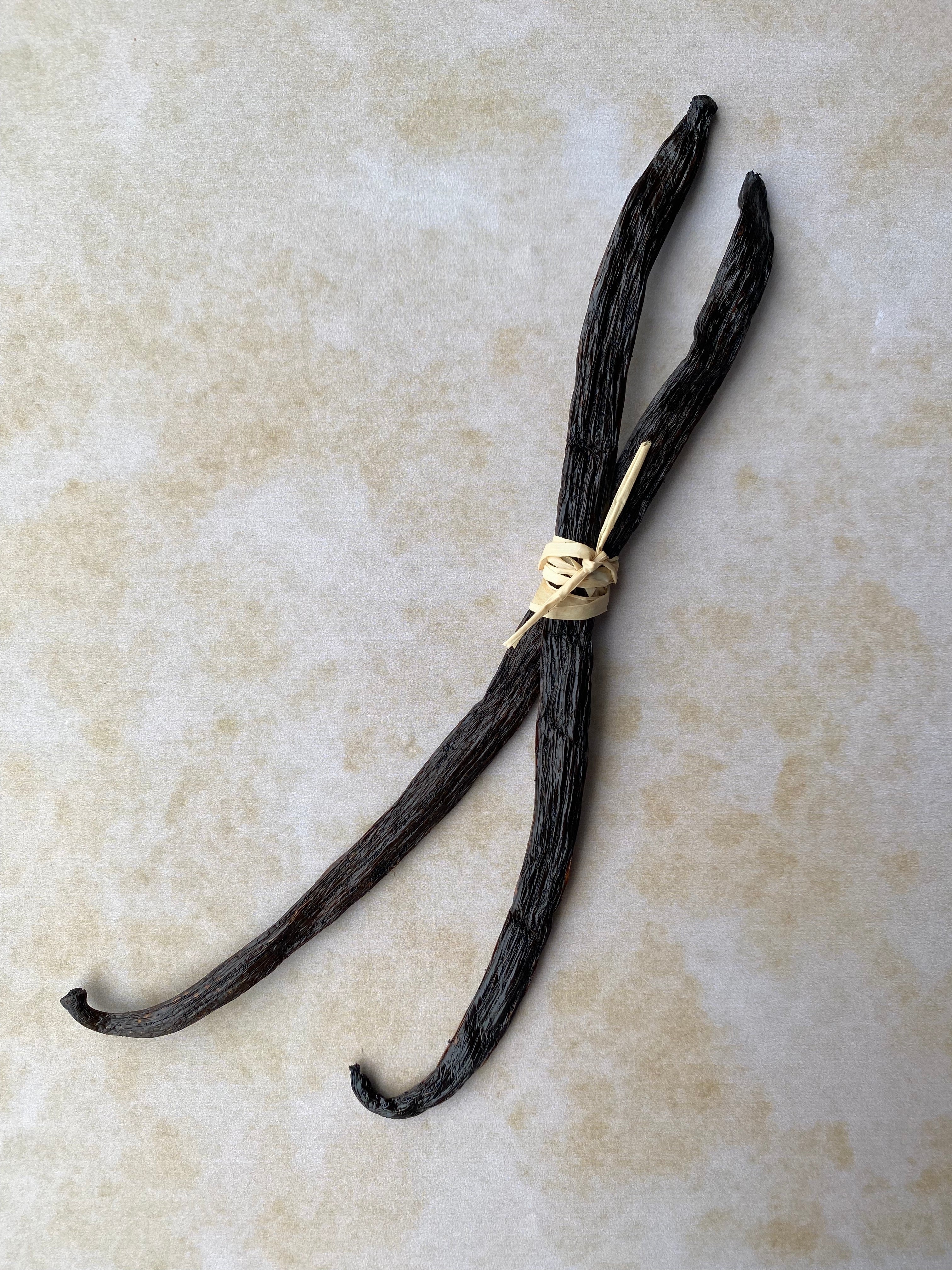 Buy 2 x Luna Vanilla Beans | Luna Vanilla Beans | Buy Vanilla Australia | Gourmet Bourbon Vanilla Beans | Buy Comoros Vanilla Beans | Vanilla Extract 