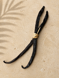 Two luna vanilla gourmet bourbon beans tied with a raffia string on a beige background