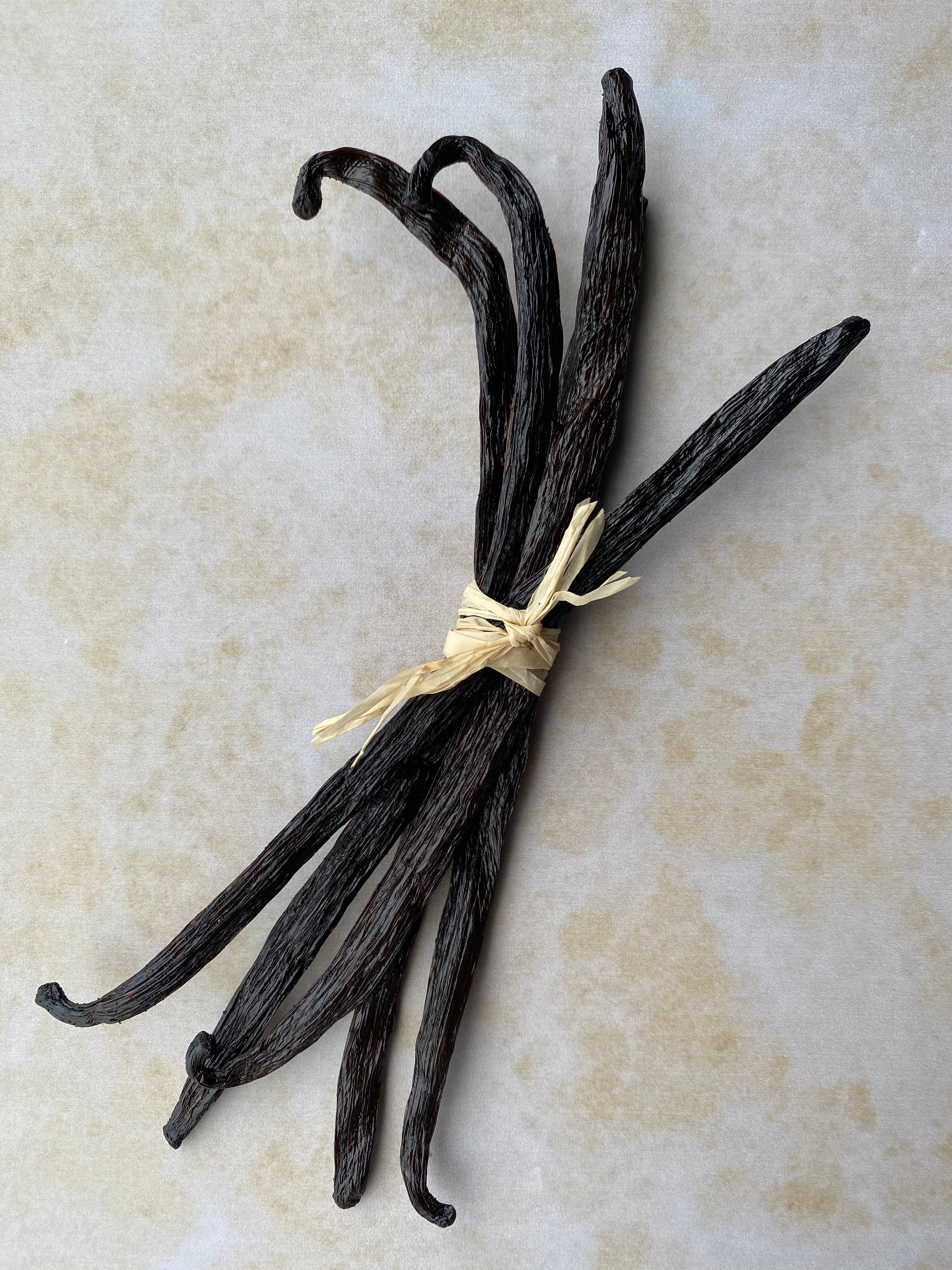5 x 16-18cm Luna Vanilla Beans | Luna Vanilla Beans | Buy Vanilla Australia | Gourmet Bourbon Vanilla Beans | Buy Comoros Vanilla Beans | Vanilla Extract 
