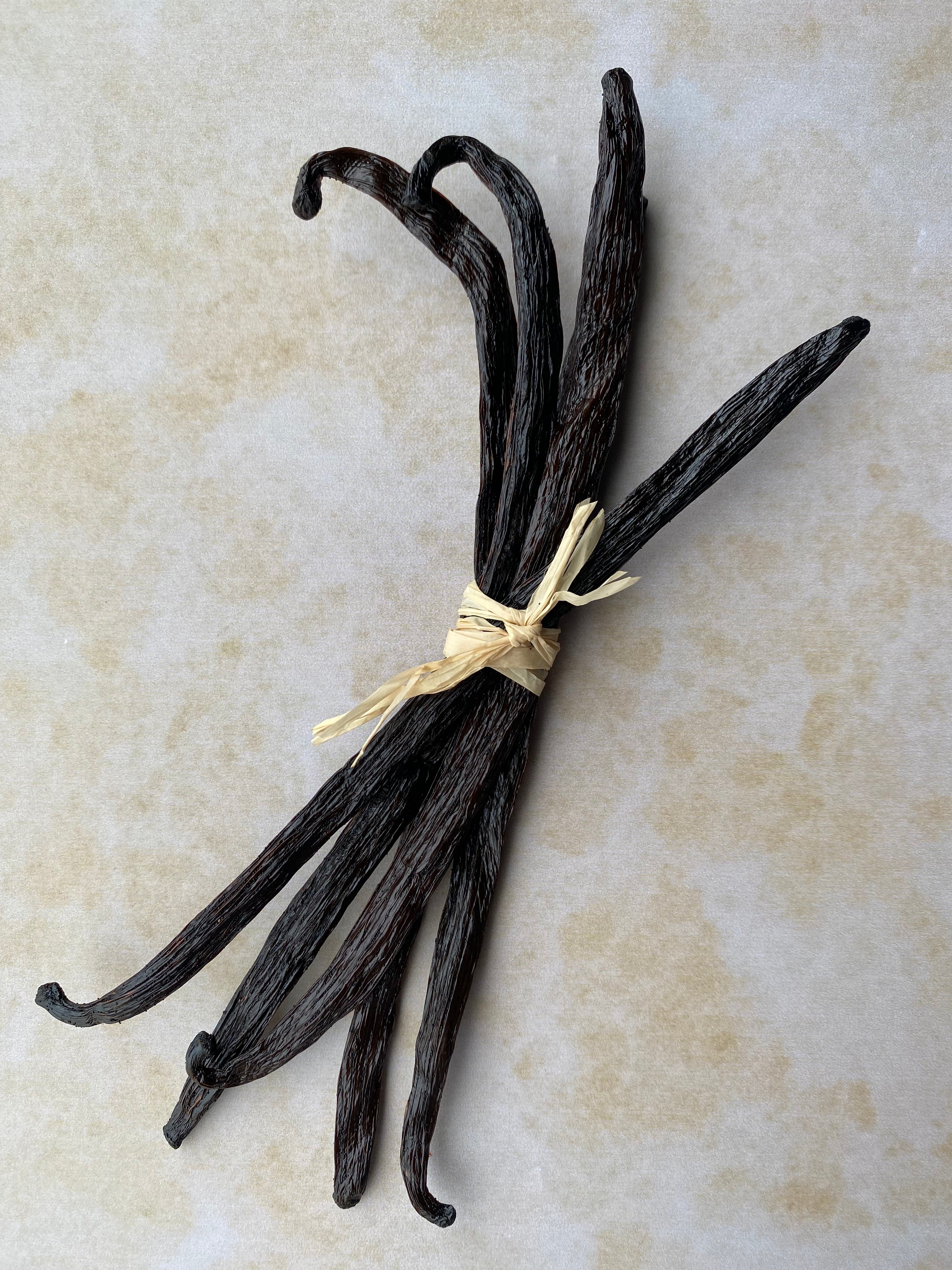 5 x 16-18cm Luna Vanilla Beans | Luna Vanilla Beans | Buy Vanilla Australia | Gourmet Bourbon Vanilla Beans | Buy Comoros Vanilla Beans | Vanilla Extract 