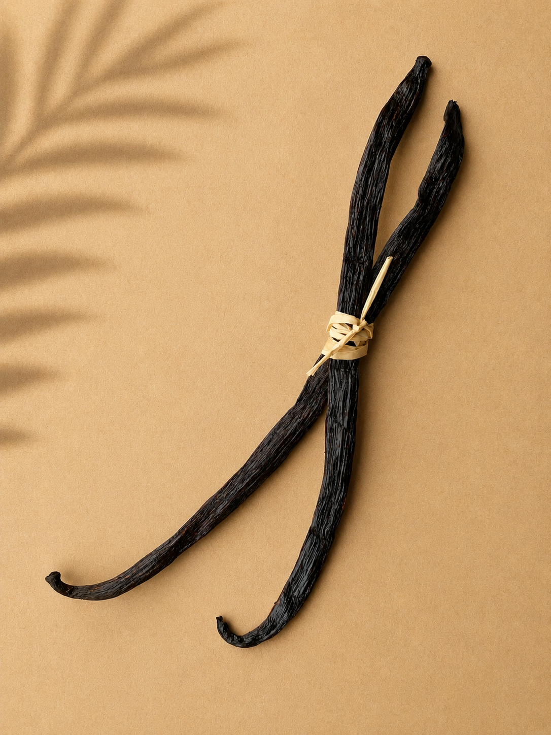 2 whole gourmet bourbon Luna vanilla beans tied with twine on a beige background