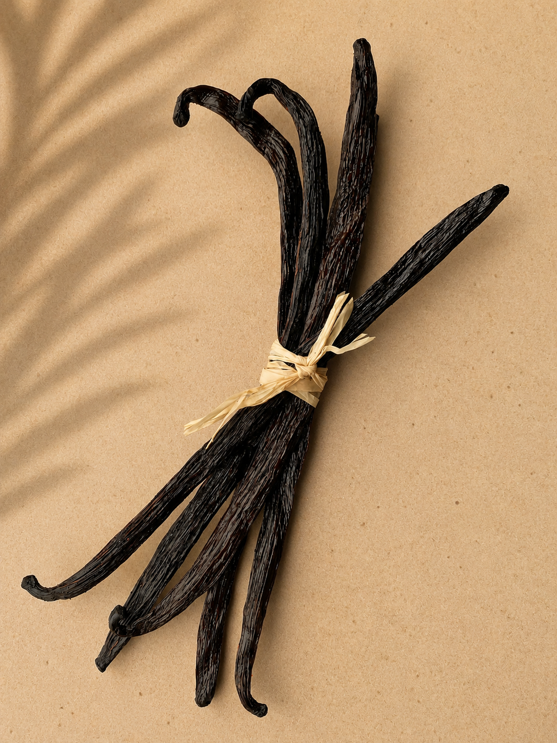 5 whole gourmet bourbon Luna vanilla beans tied with twine on a beige background